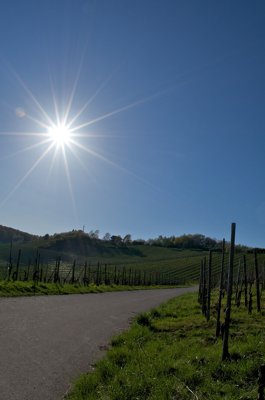 Un soleil de plomb_5605464334_l.jpg